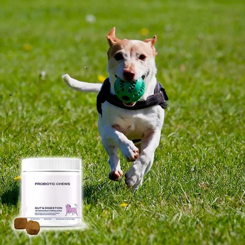 OEM Dog Probiotic Soft Chews Digestive Support Bacillus Coagulans Strain Prebiotics Supplement For s