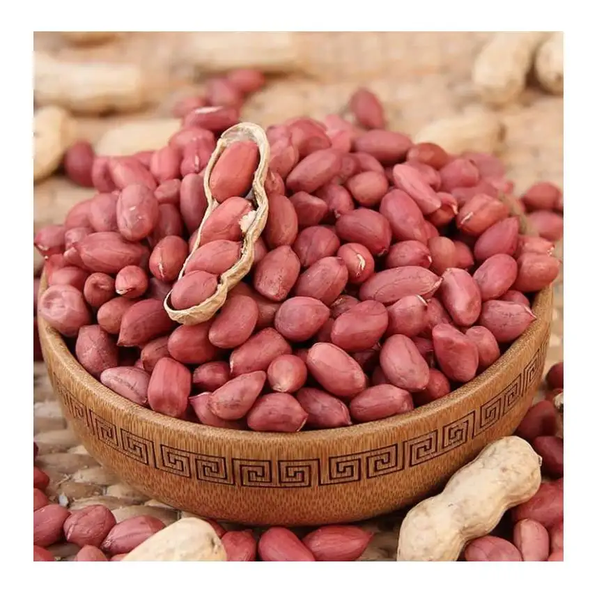 Hot selling natural peanut kernels peanuts seeds without shell from Uzbekistan with competitive price for export