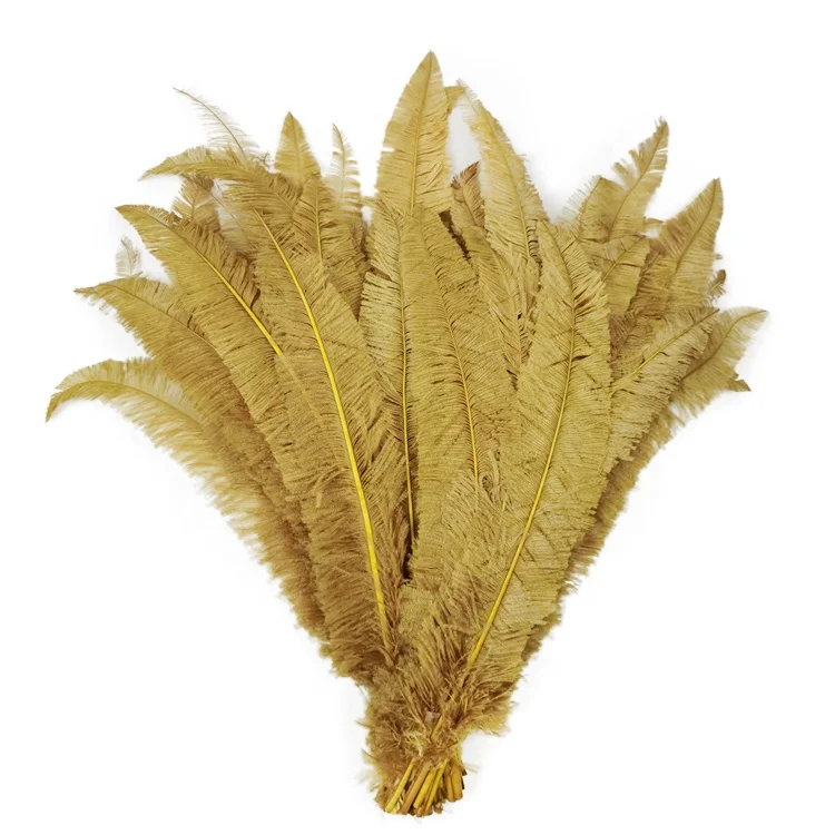 Wholesale Ostrich Nandu Feathers Trimmed Ostrich Feather For Hats Carnival Costume  Backpack Headpiece Decorations