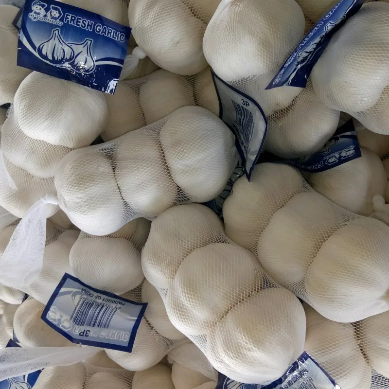 Garlic Price in China Fresh Normal White Origin Type Size Product Place Model hot selling for export