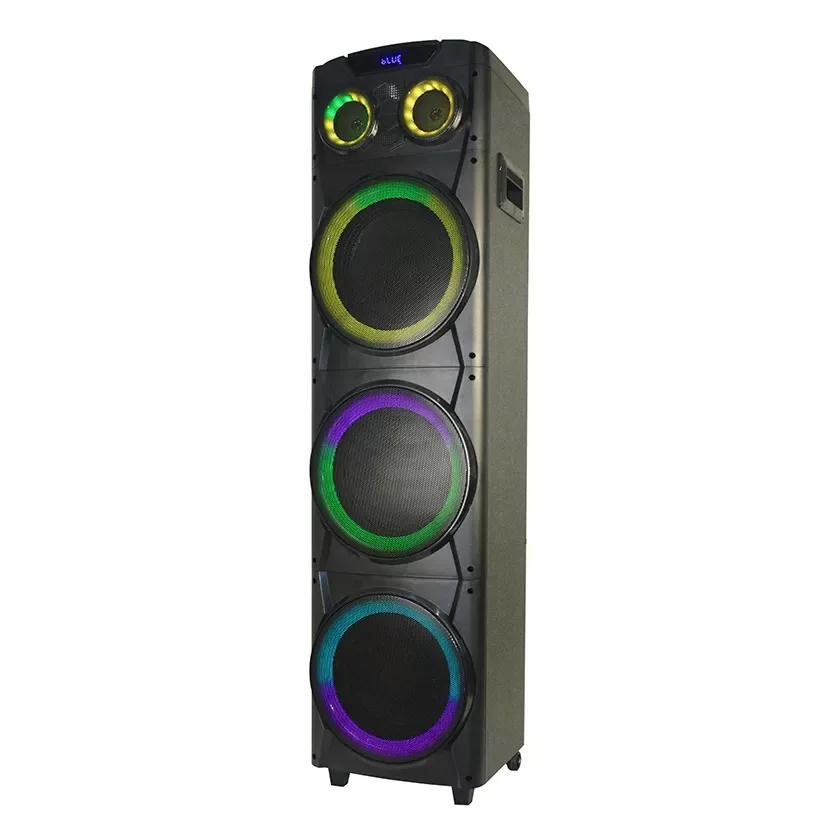 Temeisheng Wooden High Quality Speaker 3 way 10 Inch Large Stereo Speaker 200W Powerful Bluetooth Portable Wireless SpeakeR