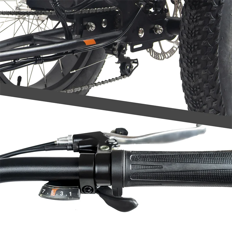 US warehouse stock electric tricycle Cargo electric trike for adult  750w big power  electric tricycle bike