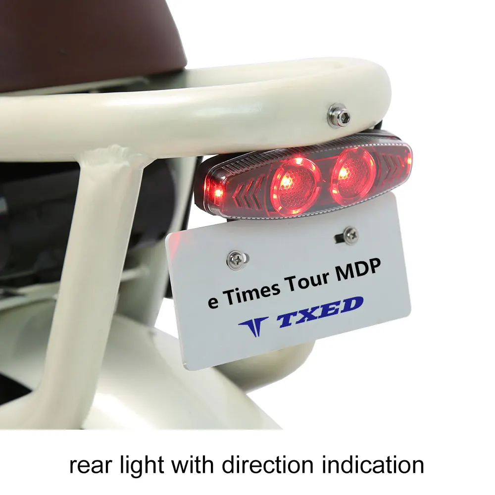 TXED New model electric bicycle 1000w electric motorcycle e bike with 2 battery