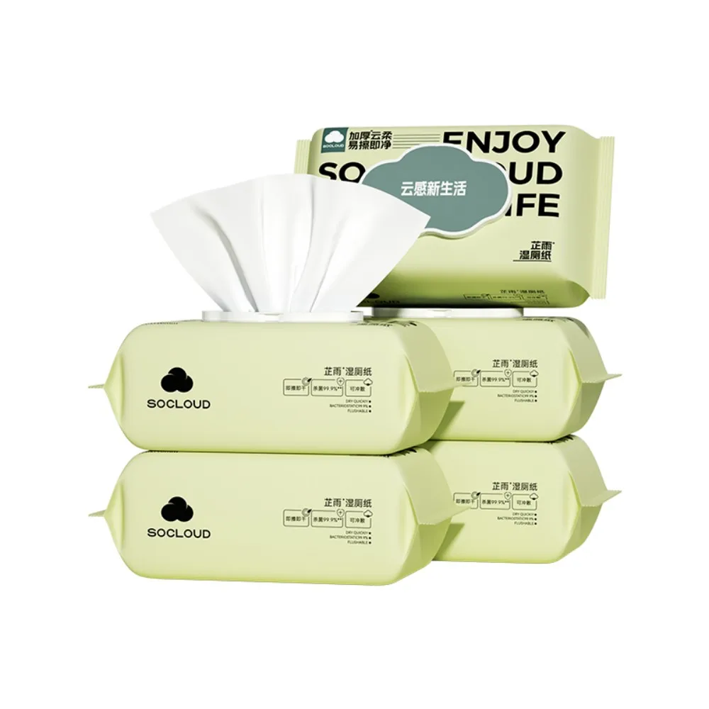 Factory Custom Disposable Baby Adult Antibacterial Cleaning Wet Wipes Flushable Biodegradable Bathroom Toilet Wet Wipes