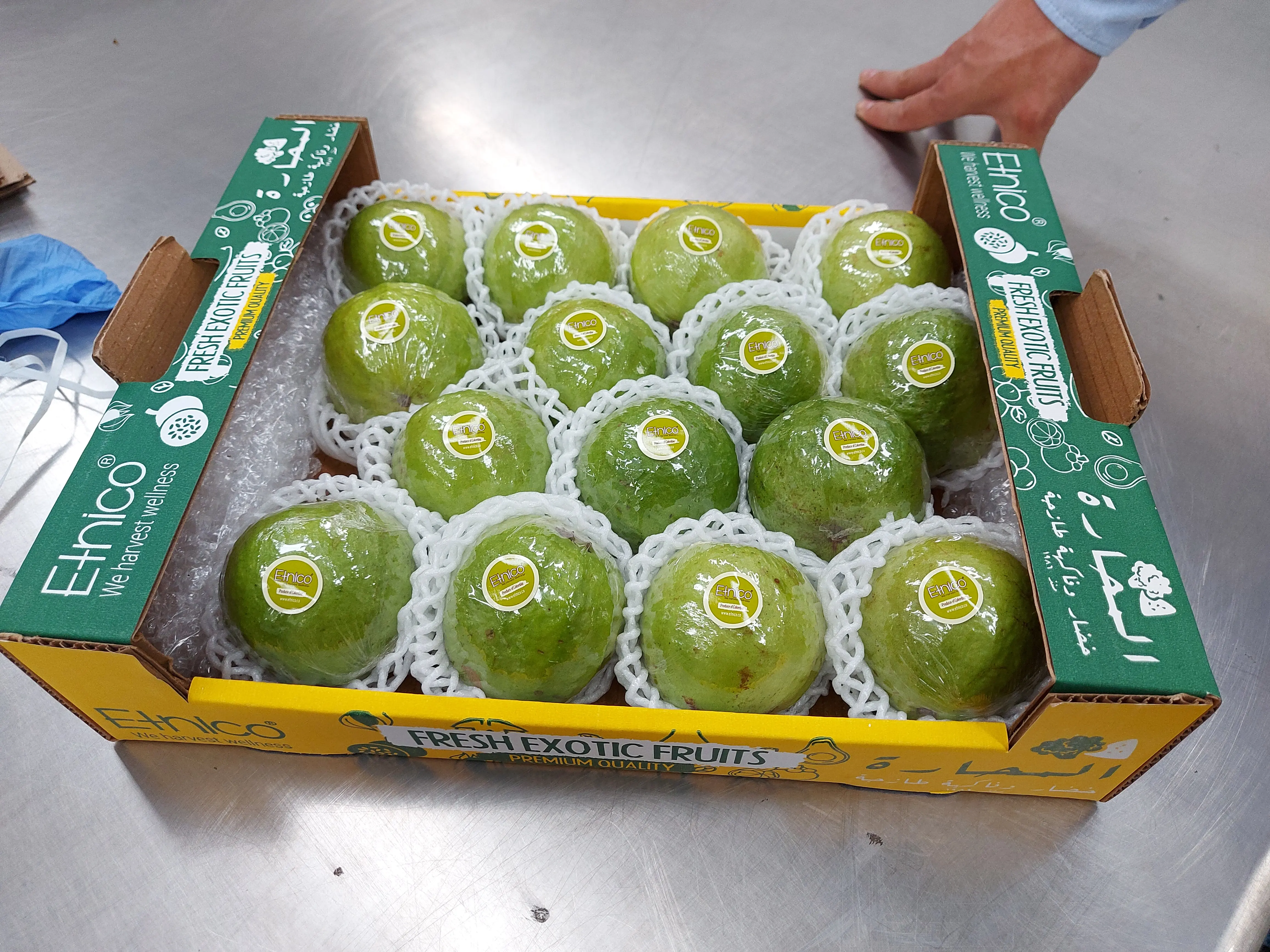 Хороший экзотический вкус свежий Feijoa Guava Steen