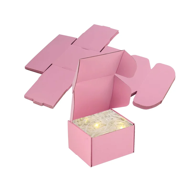 Custom Printed Pale Pink Clothing Mailer Box E-commerce T-shirt Corrugated Packaging Boxes