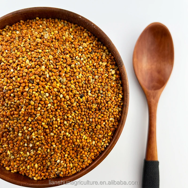 Factory supply  high purity  small red millet red millet seed