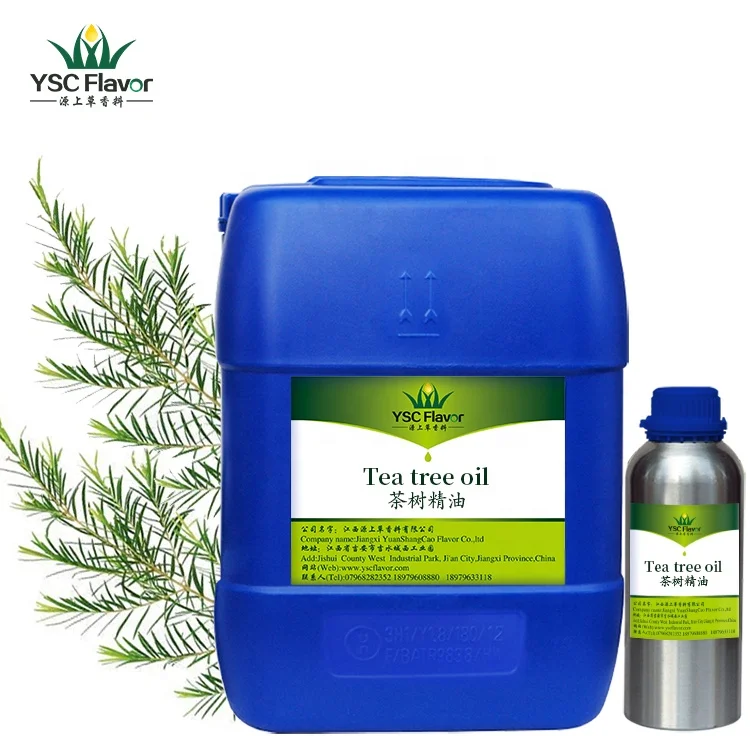 Private Label Natural Organic Tea Tree Oil Tea Tree Essential Oil