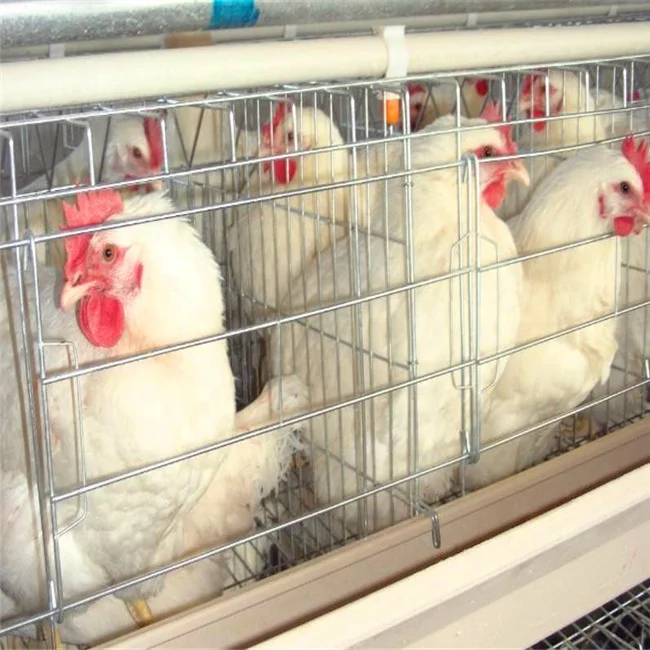 Клетка для птиц на батарейках, 96/120/128/160