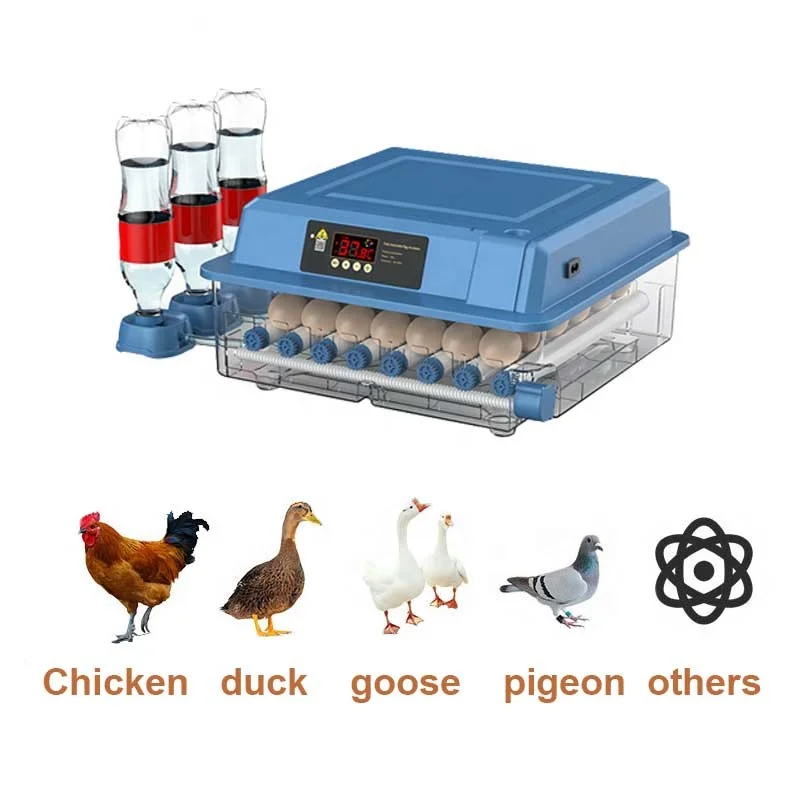 Factory direct supply Trout Fish Ostrich Commercial Duck Egg Hatching Incubator