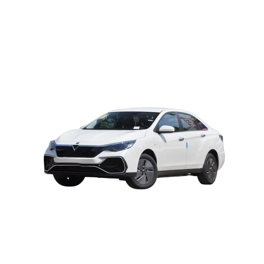 2024 Dongfeng Nissan Venucia D60 EV Range 420km 450km Electric Car dongfeng cheap cars