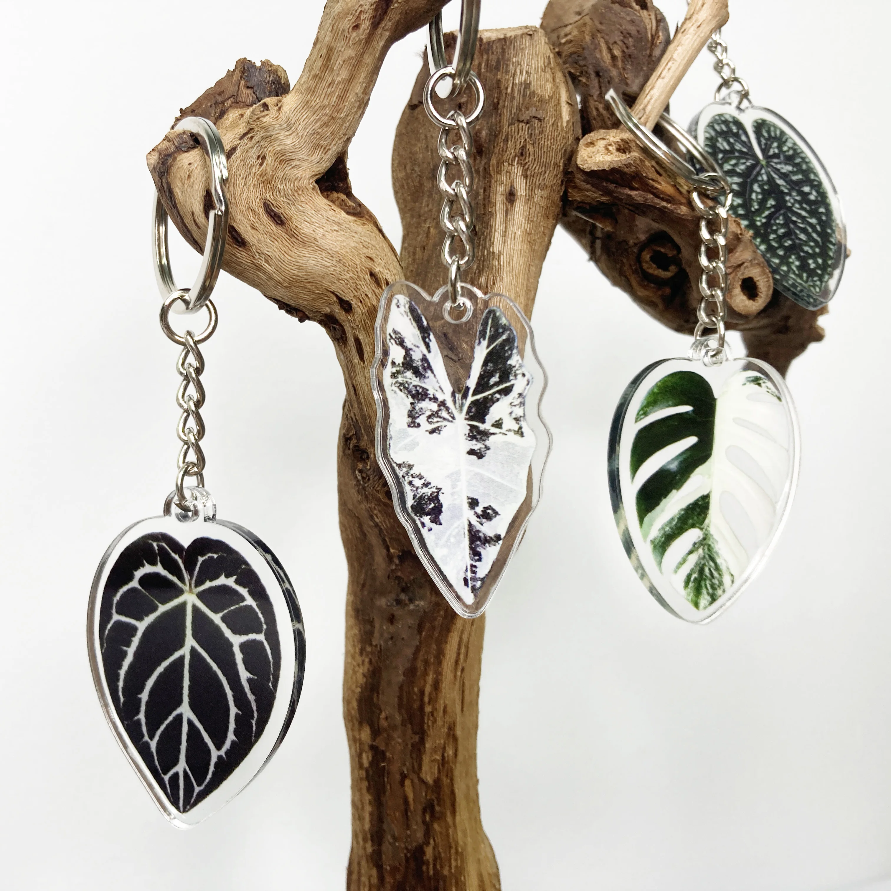 Tropical Plants Acrylic Keychains, Alocasia Leaf Design Acrylic Keychain