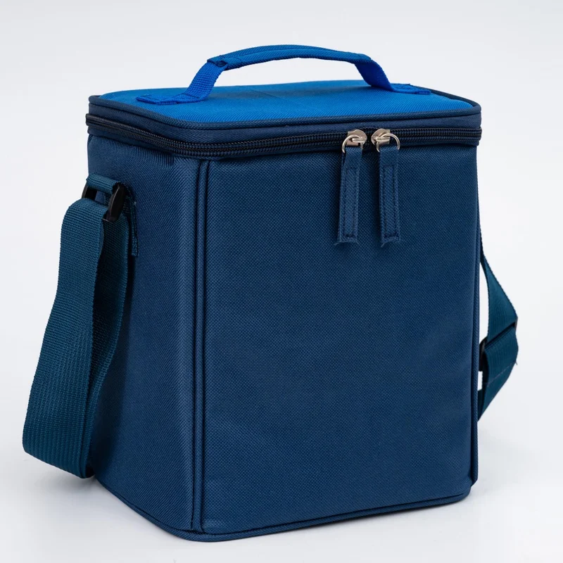 Insulated Lunch Box  Bag Small Cooler Thermal Meal  lunchbox for Girls Boys School Picnics