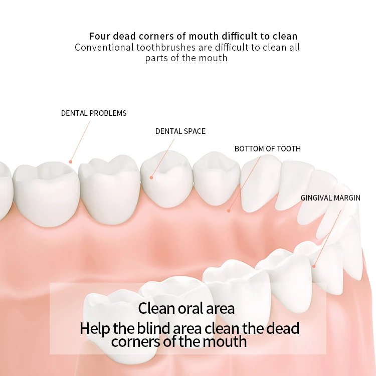 VENZEN OEM private label portable fruit extract Oral Clean care teeth whitening Liquid mouthwash