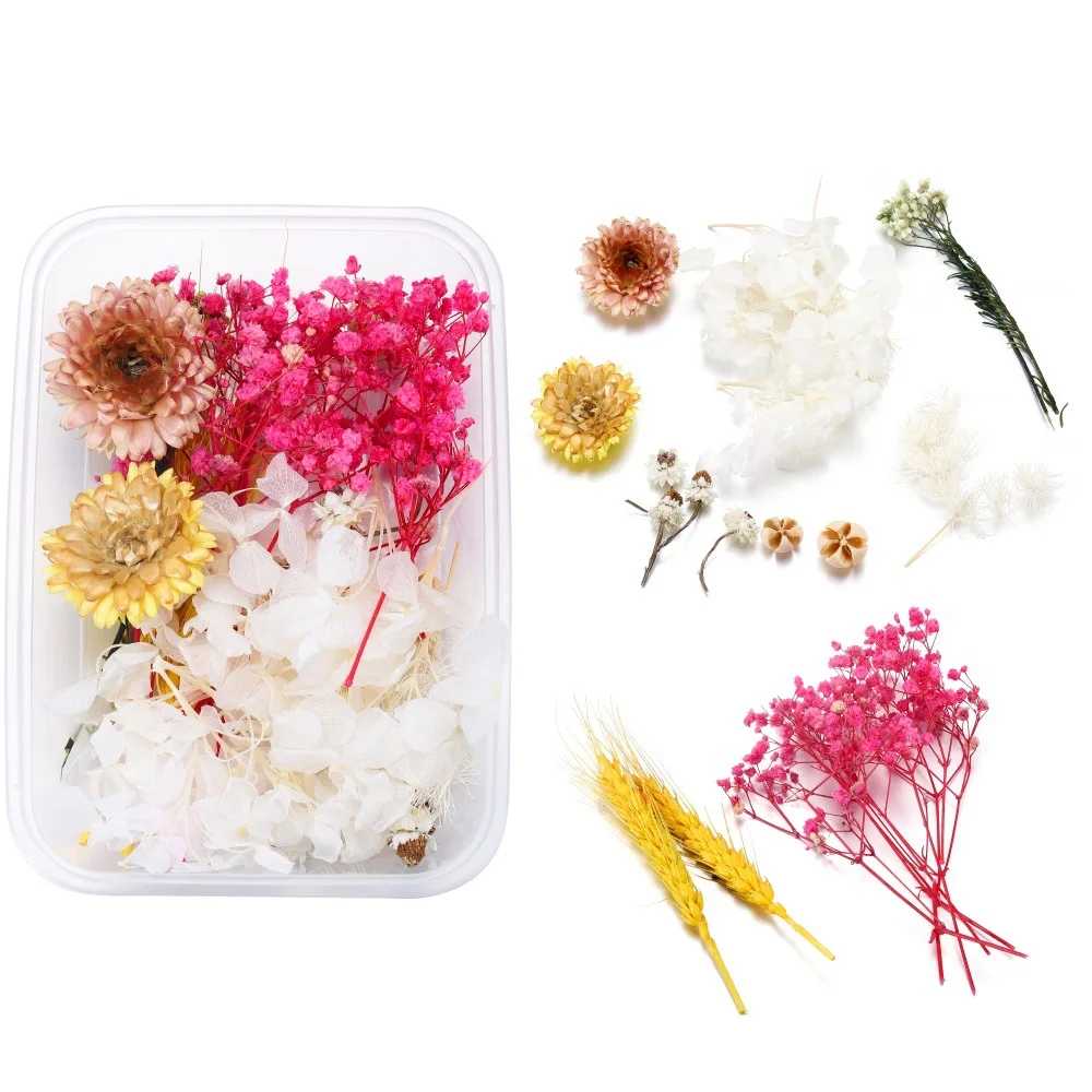 Mix Style Diy Real Natural Dry Preserved Flower Material Package Mix Dried Preserved Flowers For Diy Dried Flower Bouquet