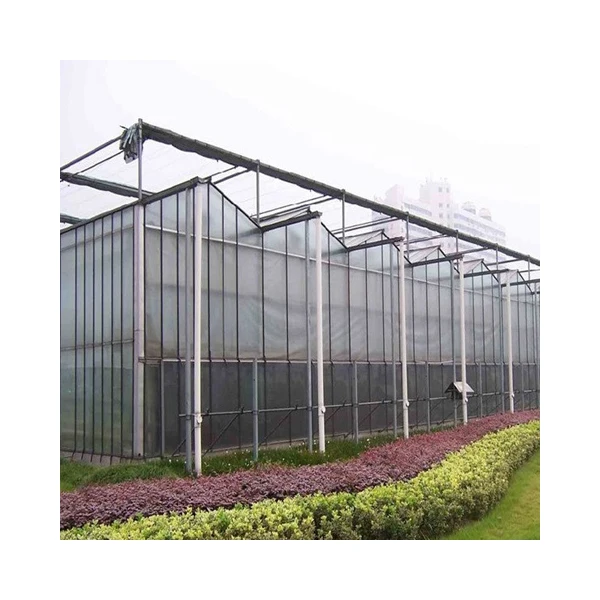 Glass Greenhouse with Hydroponic Growing System Large Water Cultivation Containers Green houses China Large Solar Panel JM
