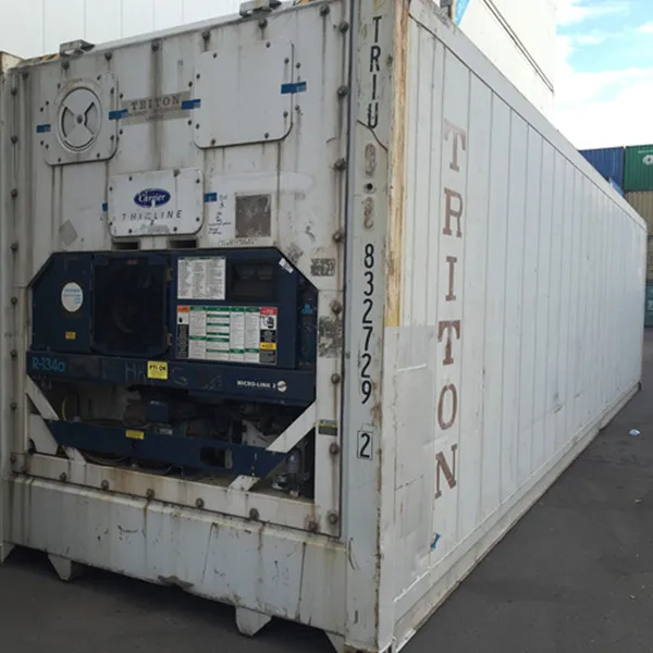 Cheap 40ft Reefer Container Refrigerated Container equipped with Carrier Microlink-3 Machine