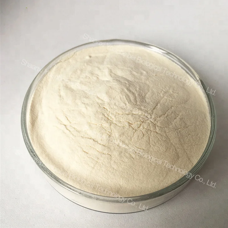 30:1 Private Label Banana Powder Bulk Organic Banana Powder For Drinking