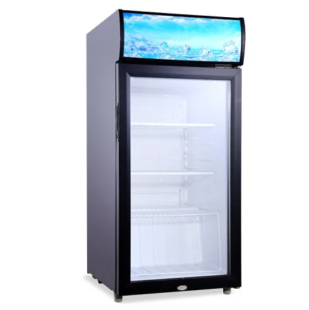 SC-90 Glass door beverage cooler