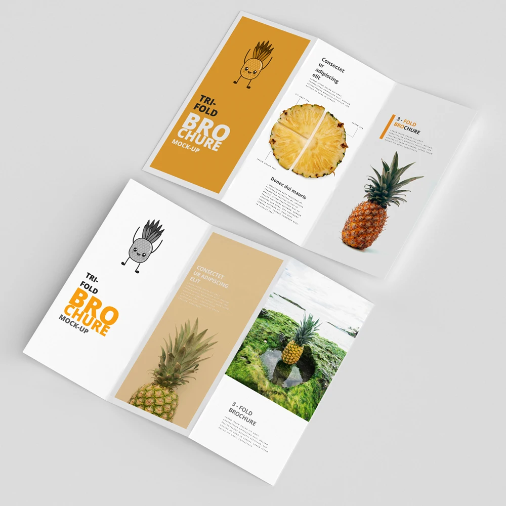 High Quality Custom Soft Touch Printing Tri-fold Paper Brochure For Fruit