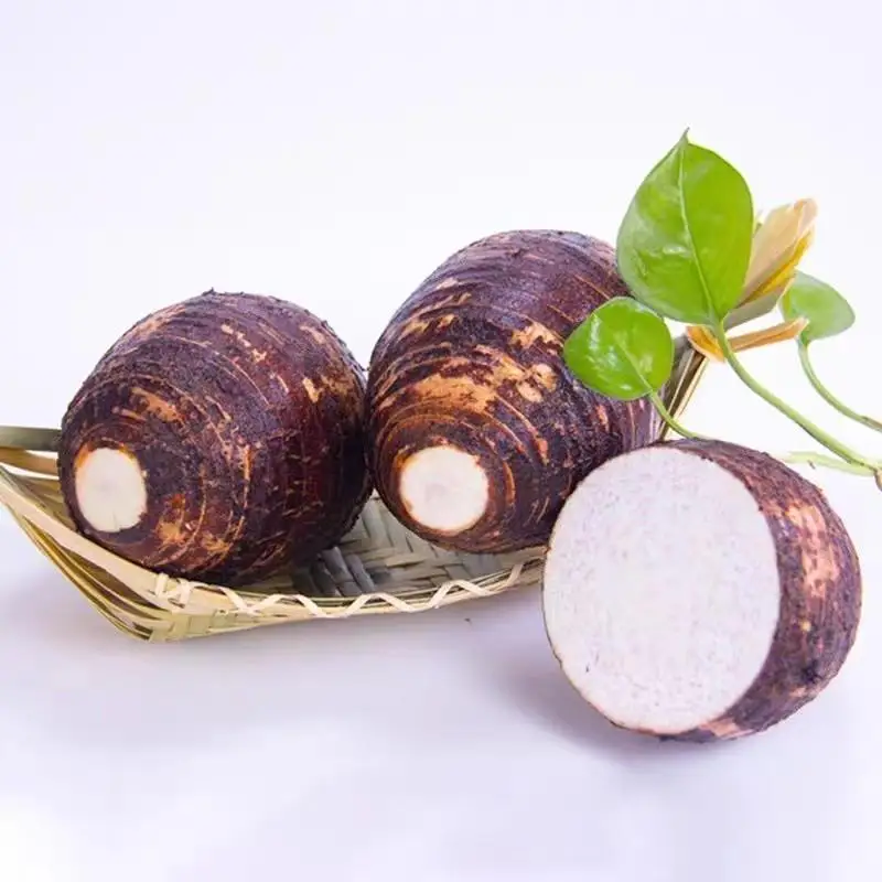 Quality taro wholesale price export fresh taro for sale
