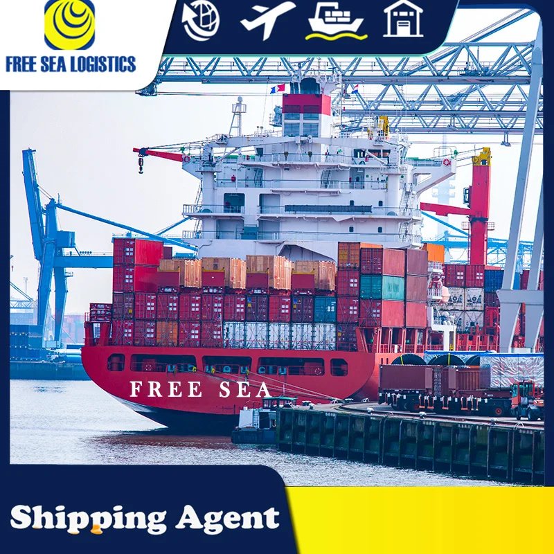 professional shipping from Shenzhen/Guangzhou/Yiwu to Saudi Arabia Dubai Kuwait lcl sea shipping