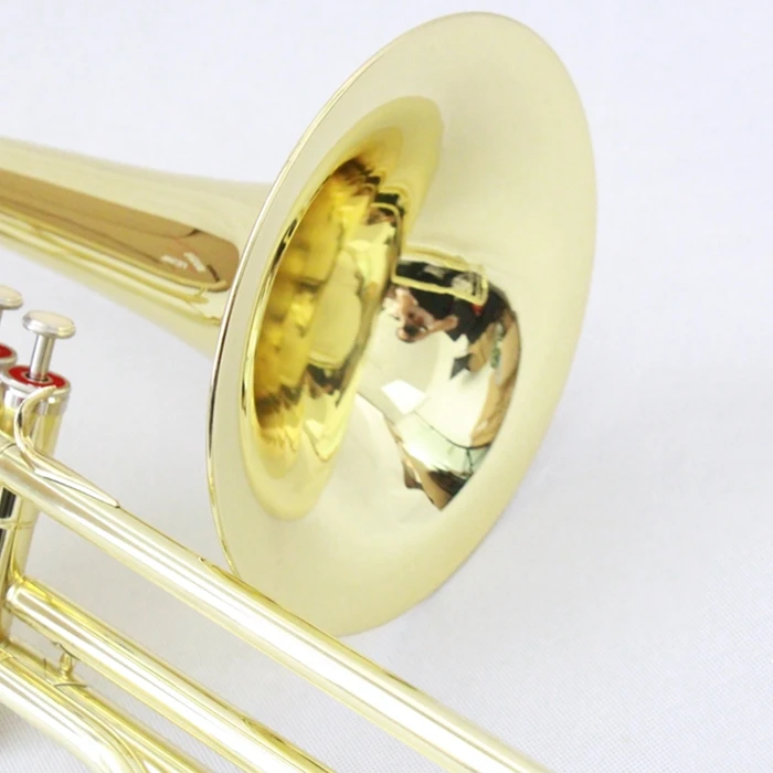 
Brass Body Cupronickel Valves Piston Trombone Wind Instrument (FTB-400) 