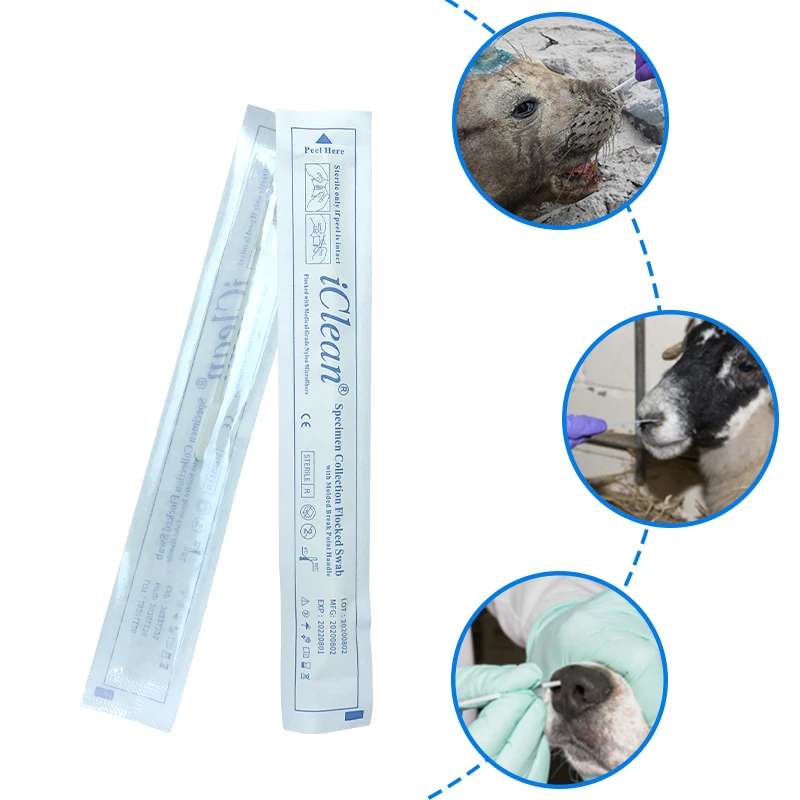 Disposable Nylon Animal Dna Sampling Transport Specimen Collection Pet Swabs For DNA