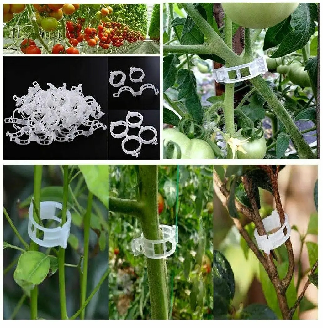50PCS/Bag Pack Plant Support Clip Useful Tomato Veggie Garden Trellis Twine Greenhouse