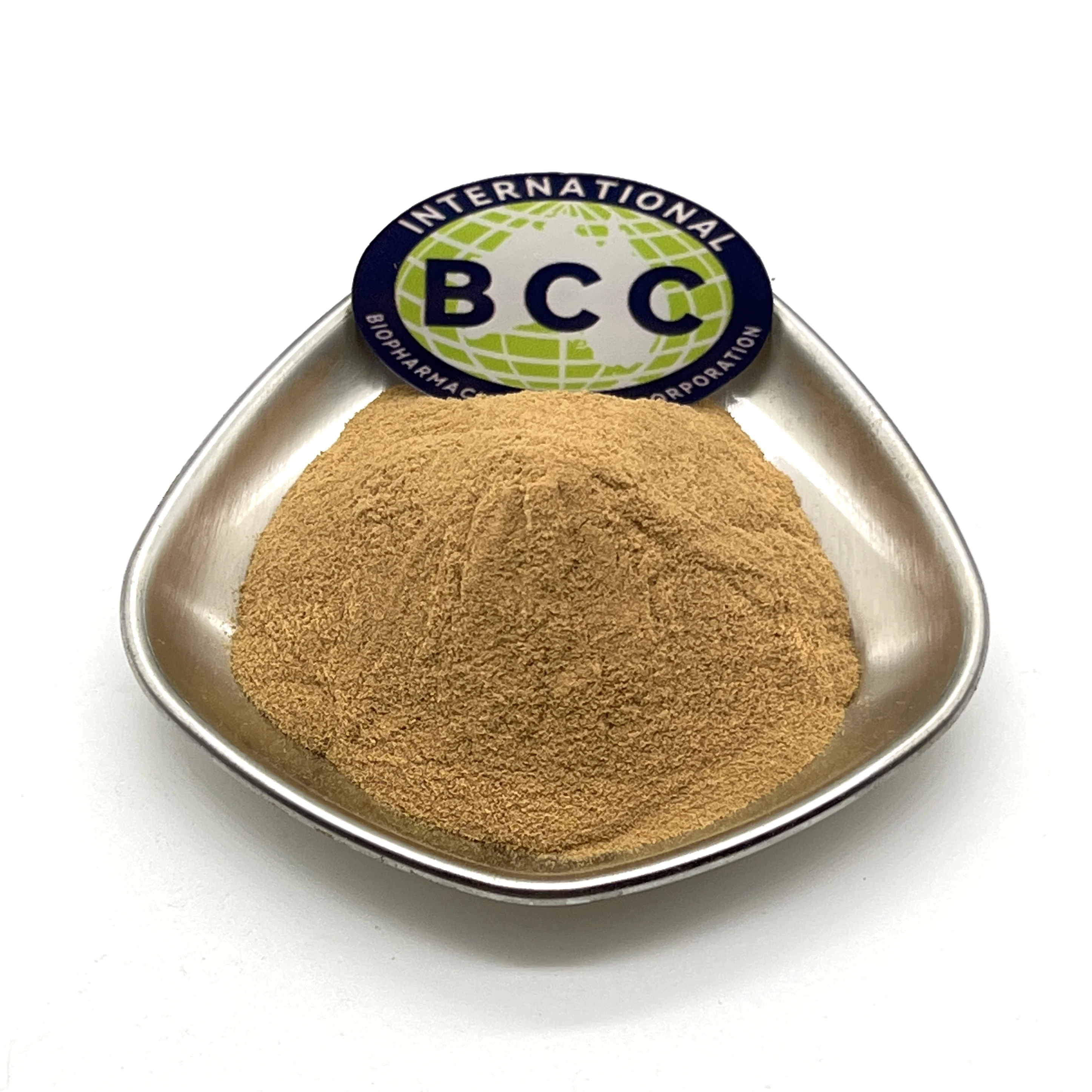 Wholesale Bulk Chinese Herbal Saponins 80% UV Sanchi Panax Notoginseng Root Extract