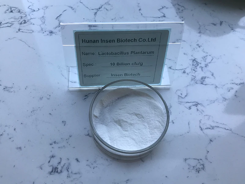  Кормовой и пищевой порошок Lactobacillus