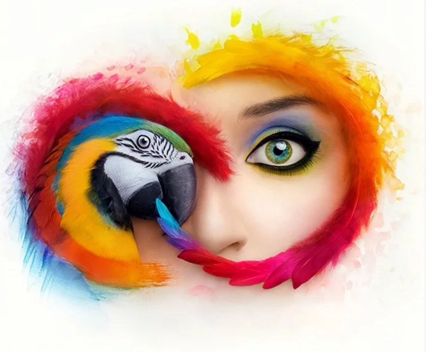 
Global Adobe Creative Cloud CC 2021 Photoshop Audition Support Windows Mac Adobe Creative Cloud Key License 