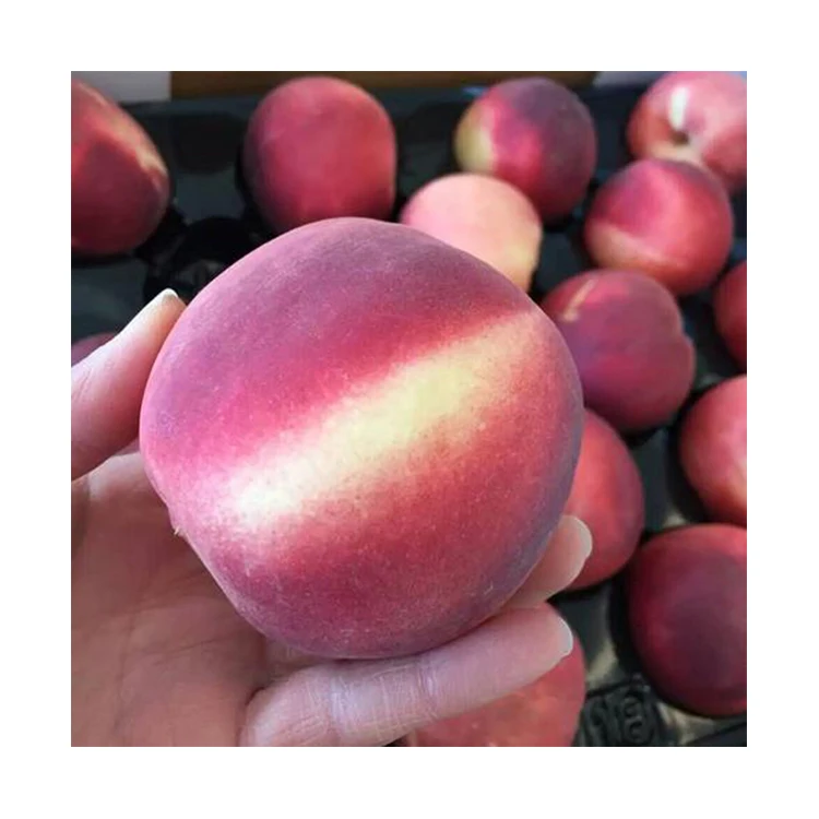 Factory Wholesale Natural Sweet Peach Delicious Fresh Peach For Sale