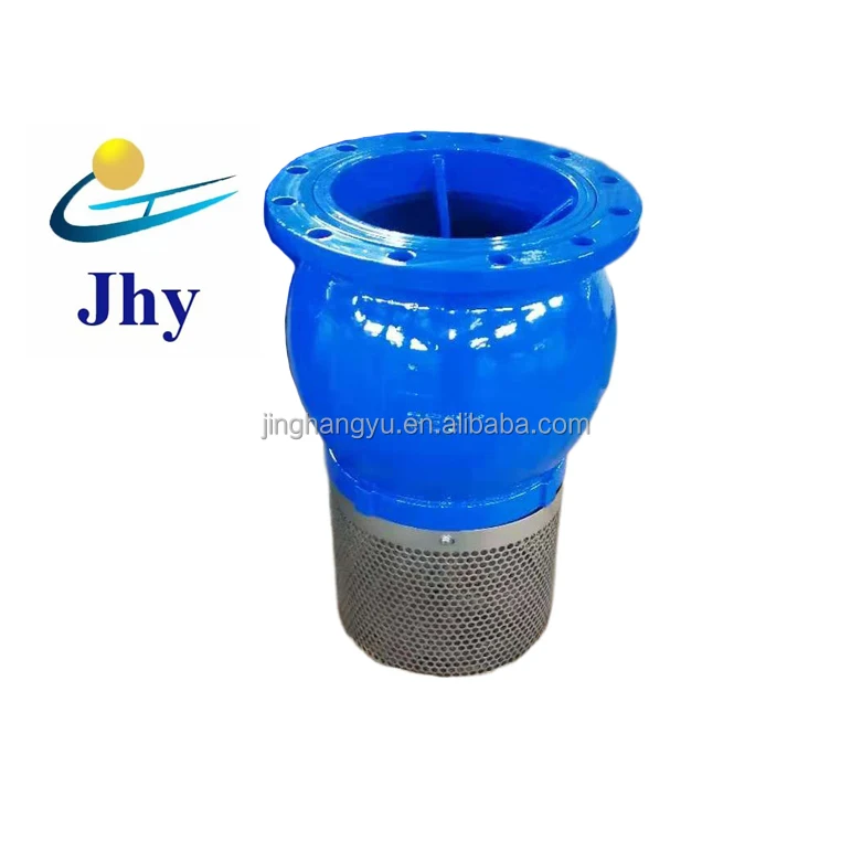 Flange Connected Cast Iron Foot Valve