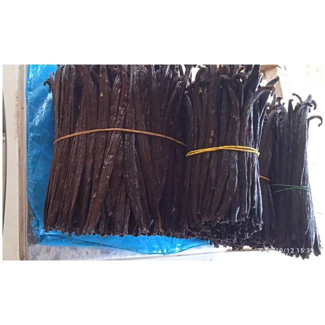 Fresh Sun Dried Wholesale High Quality Bulk And Natural Tropical Organic Planifolia Black Pods Vanilla Bean