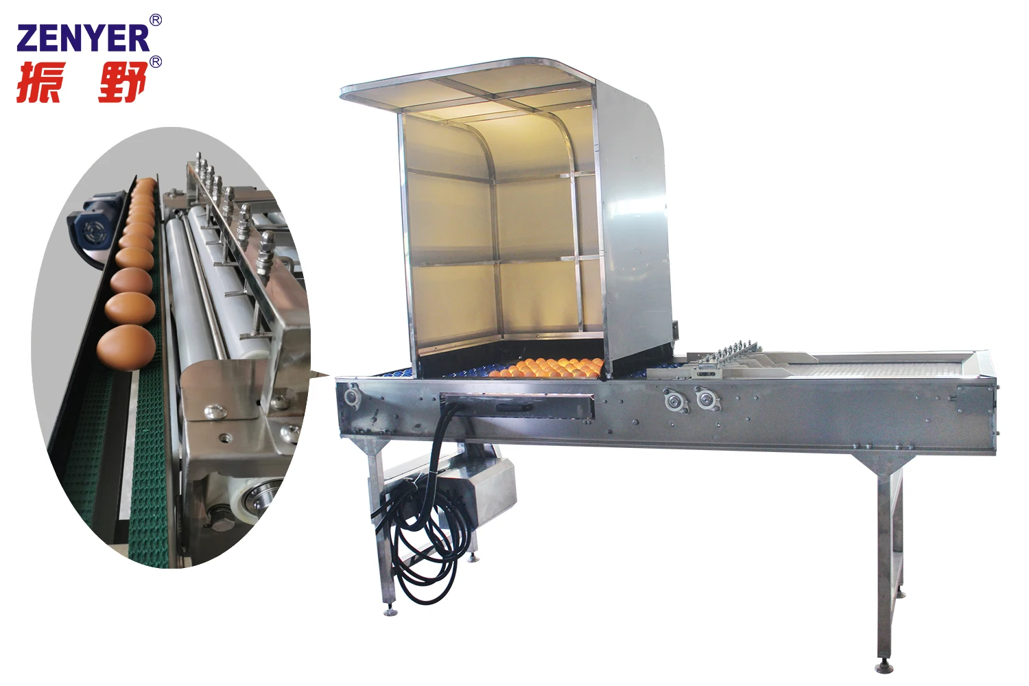 Chicken farm egg sorting packing equipment