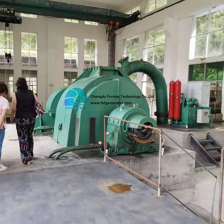 автоматизированный интегрированный высокой конфигурации уменьшает затраты на рабочую силу Гидротурбина пельтона для HPP