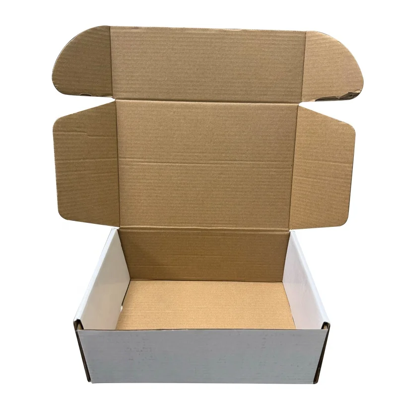 Factory Sale Various Widely Used Biodegradable Carton Lightweight Strong Carton