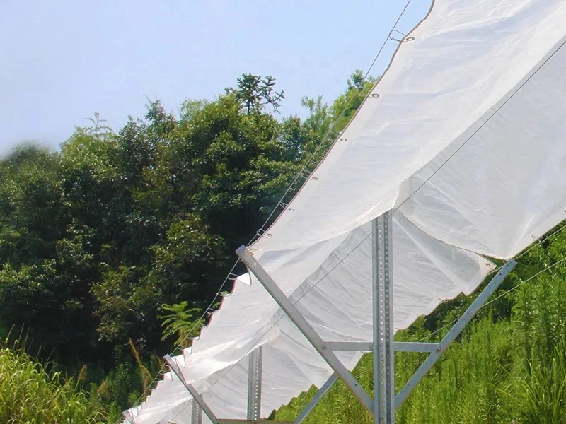 Grape orchard tarpaulin anti big rain hail kiwi berry orchards protection waterproof cherry cover