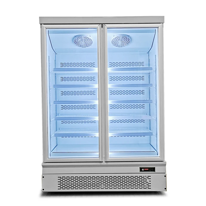 Plug In System Multipurpose Freezer Commercial Glass Door Display Refrigerator for Frozen Food