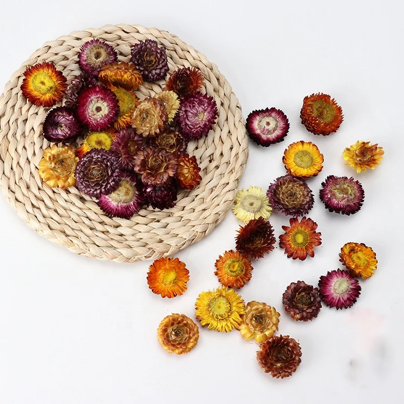 Yunnan Colorful Chrysanthemum Dried Flowers Bulk Small Daisy Straw Chrysanthemum Head Wholesale Dried Pineapple Chrysanthemum