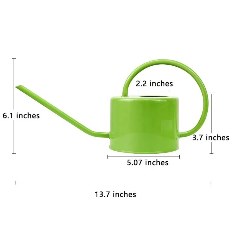Decorative Indoor Water Cans Galvanized Metal Garden Watering Can with Easy Pour Gooseneck Spout for Home Plant Watering