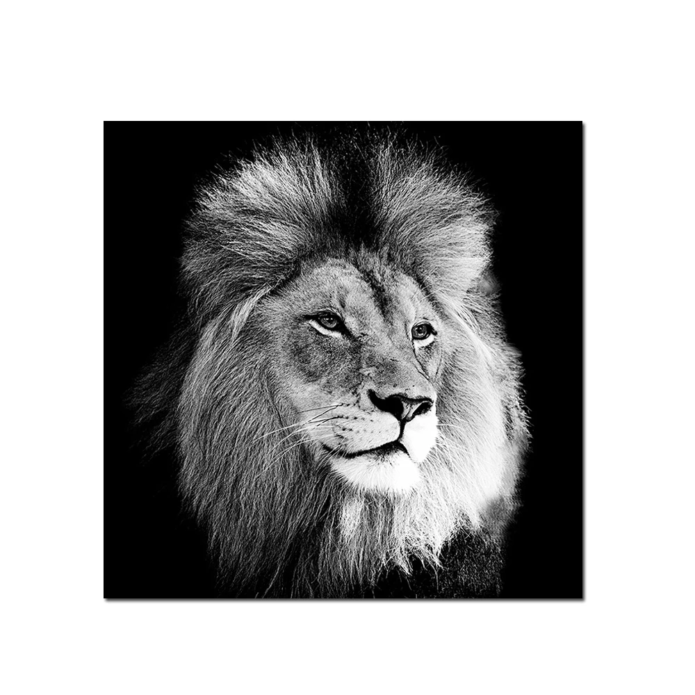 New Arrival HD Waterproof Frameless Photography Art Acrylic Prints Framed Canvas Animal Painting for Living Room