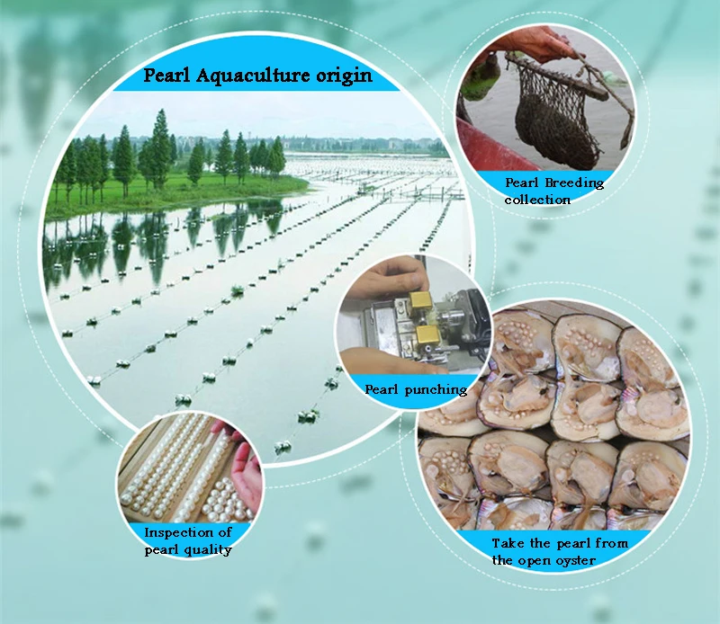 AAA 8-10mm Rice Drop Pearl White Color Natural Freshwater Pearl Half Drilled Rice Pearl Beads