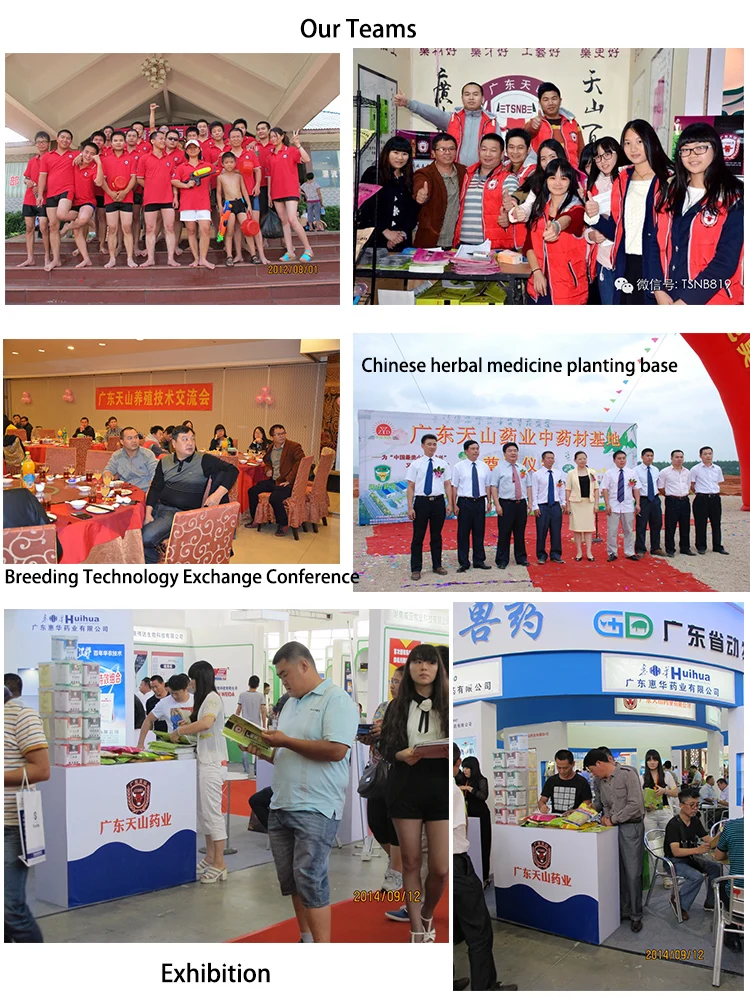 
vitamins growth promoters for poultry fowl broiler growth booster 