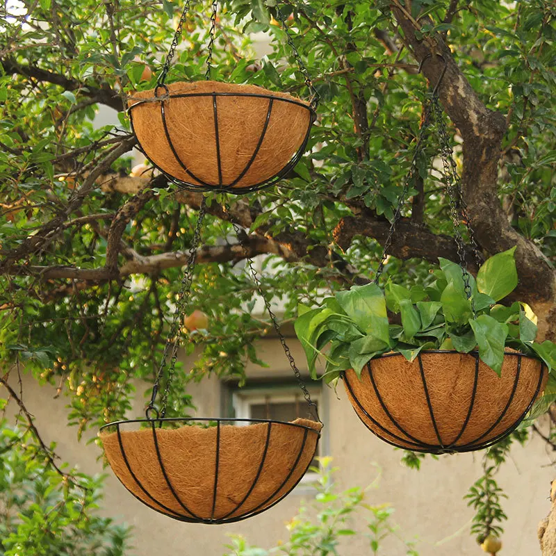 Round Wire Hanging Plant Basket with Coco Coin for Outdoor Decorative