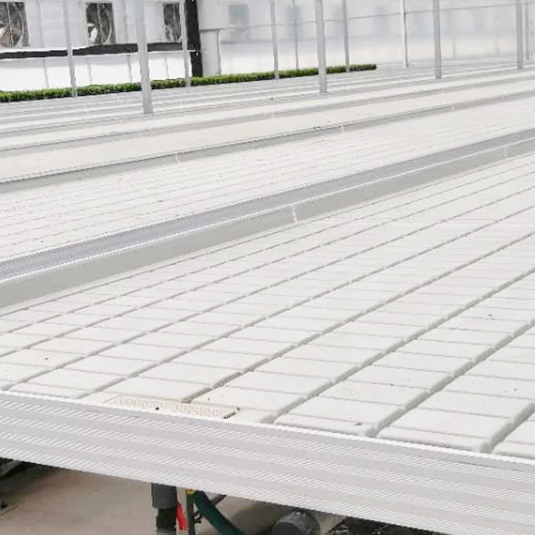 hydroponic greenhouse shelves growing table flood tray use for grow lettuce and other leafy vegetables
