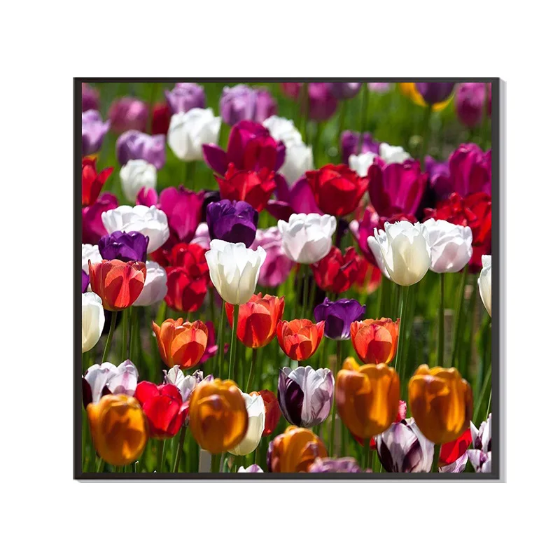 Custom 30x30cm Diamond Painting Full Drill Tulip Flower Home Decoration Painting