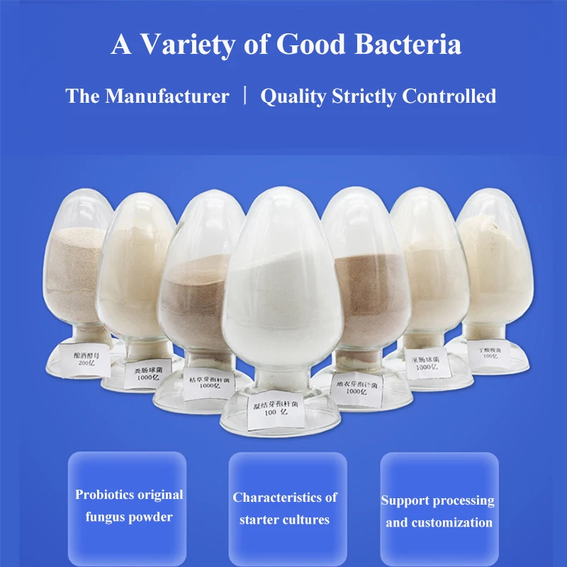 Hot Sale Supply Clostridium Butyricum Promote Health  Phytogenic Feed Additives Probiotic Powder Premix for Fish Sea Cucumber