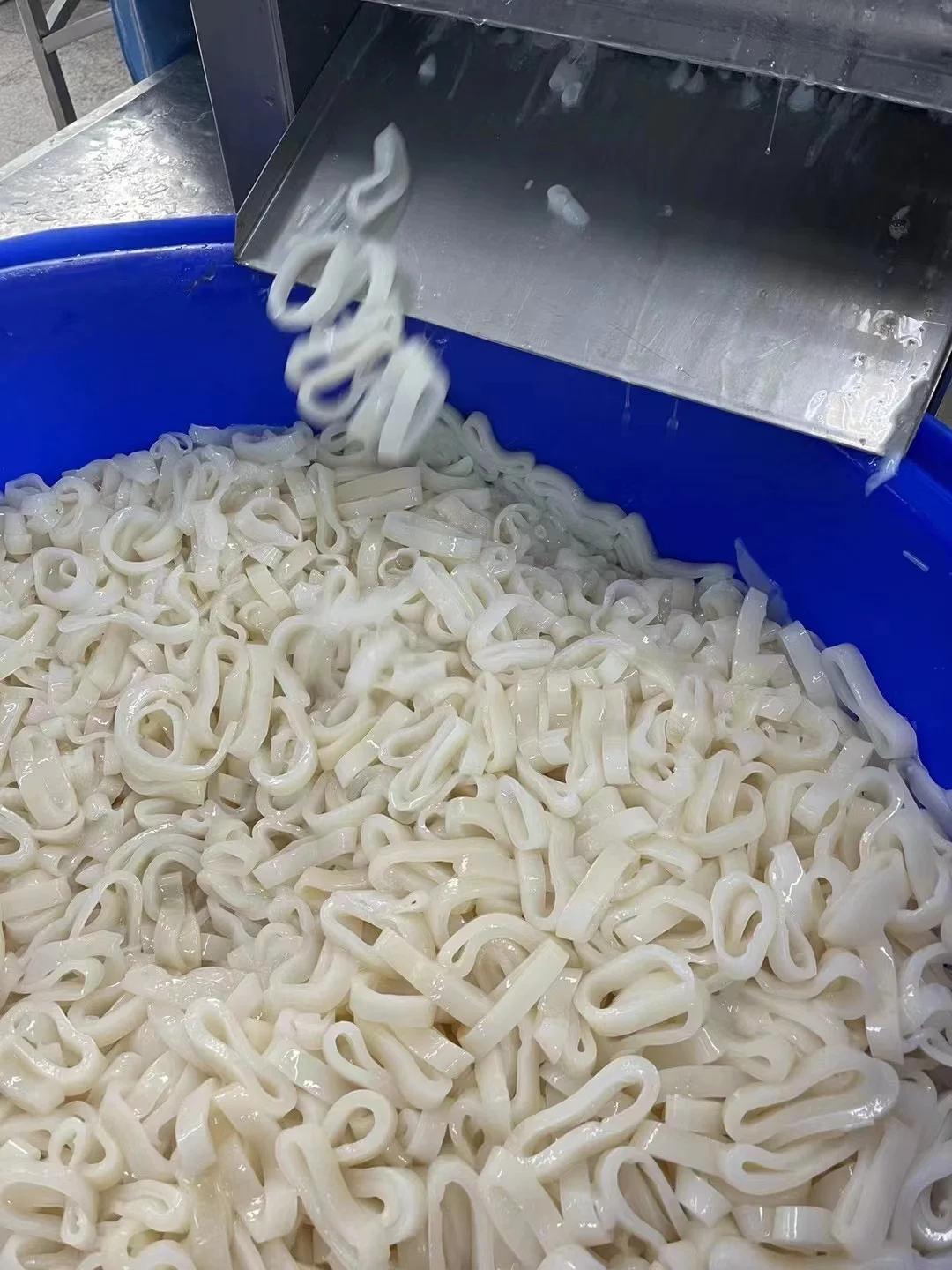 squid ring skin off Squid processing squid ring good quality without  skin